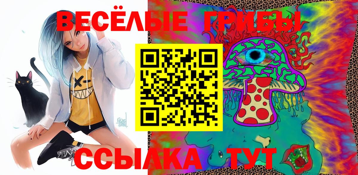 Галлюциногенные грибы Psilocybine cubensis Старый Оскол