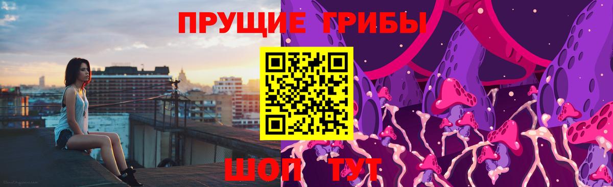 Псилоцибиновые грибы ЛСД  Галлюциногенные грибы Psilocybine cubensis  Старый Оскол  Вход с VPN 